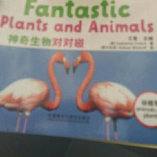 《丽声英语百科 4级 Fantastic Plant And Animal》