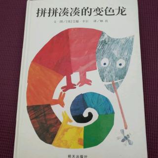 东拼西凑变色龙