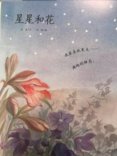 星星和花