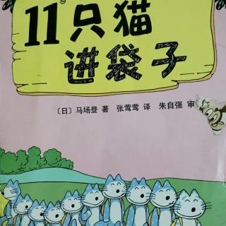 《11只猫进袋子》