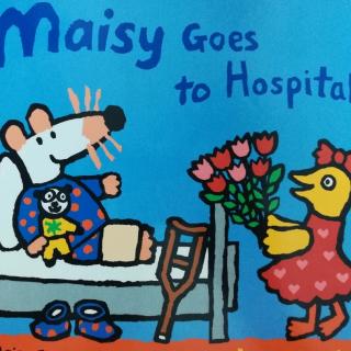 2018-07-22Maisy goes to the hospital