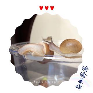 NO.69 你家墙皮挺好吃的——小蜗🐌