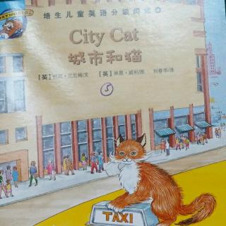 City Cat