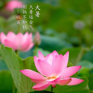 中国传统节日与24节气 · 大暑