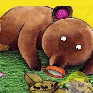 金鼎实验幼儿园睡前故事098—《树林里的黑熊》