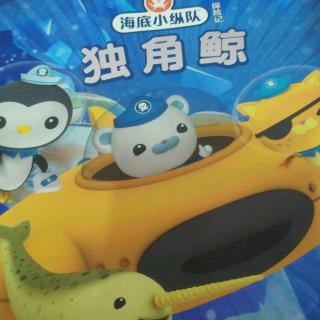 海底小纵队_独角鲸