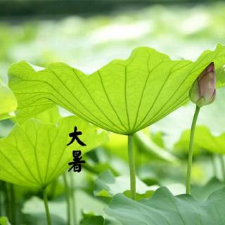 《三姝媚》史达祖 诵读 朱哲群