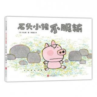 【第1410天】绘本故事《石头小猪》