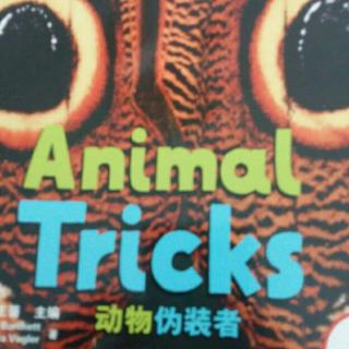《丽声英语百科 4级 Animal Tricks》