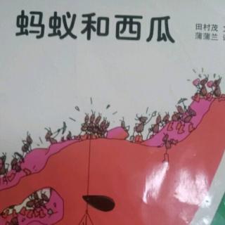 杨林甫讲故事《蚂蚁和西瓜🍉》