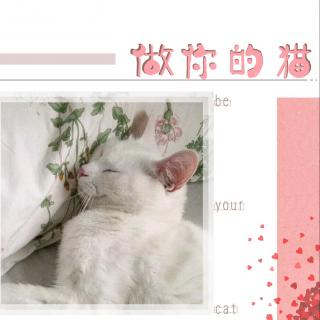 全一期BG广播剧《做我的猫》