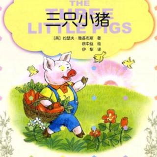 三只小猪🐷🐷🐷