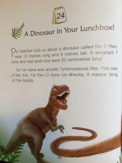 5-24 🌿A Dinosaur In Your Lunchbox