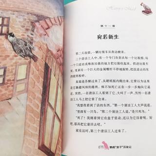 为小新哥哥读书—《鹦鹉“麦子”历险记》十一章宛若新生