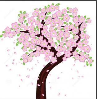 《一棵开花的树》作者：席慕荣