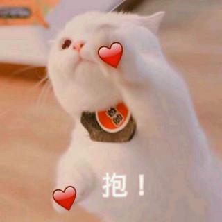 ❄️【日常】英语晚读💕尬聊🎤唱歌