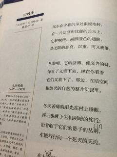 哈伦简谱_哈伦裤(2)