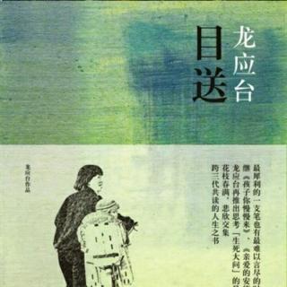 龙应台 《目送》