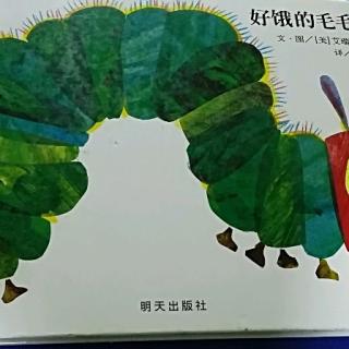 浩宇讲故事——《好饿的毛毛虫》