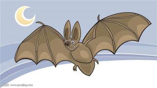 金鼎实验幼儿园睡前故事100—《蝙蝠悟出的道理》