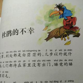 伊索寓言【杜鹃的不幸】