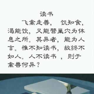 我讲你听——《读书》