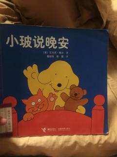 小玻说晚安