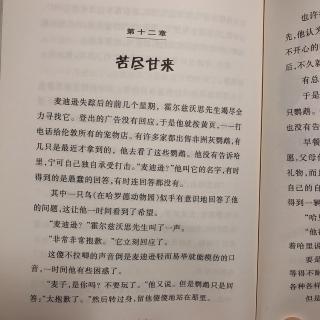 为小新哥哥读书——《鹦鹉“麦子”历险记》十二章苦尽甘来