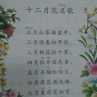 杨林甫读课文《十二月花名歌》