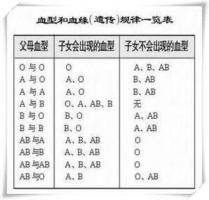 福尔摩斯探案游戏16-血型之谜