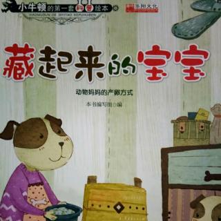 小牛顿科普故事之《藏起来的宝宝》