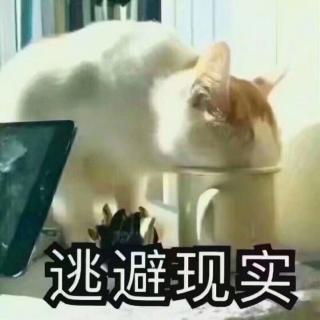 鹿幺心心念念的癫狂笑声