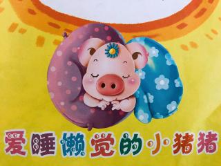 天一幼儿园 金老师睡前故事《爱睡懒觉的小猪猪🐷》