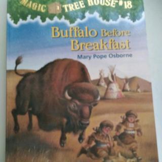 MTH-Buffalo Before breakfast (9-10)