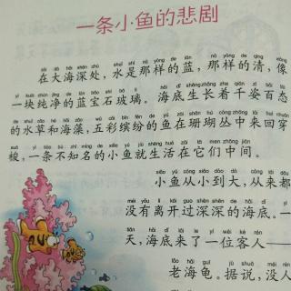 一条小鱼的悲剧