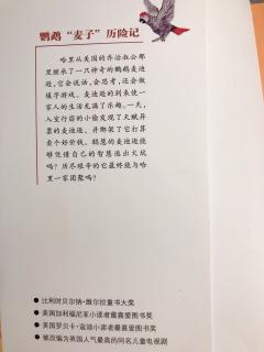 为小新哥哥读书—《鹦鹉“麦子”历险记》十四麦子回来了