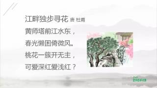 小学必备75首古诗讲解—28.《江畔独步寻花》