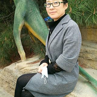 1苏轼传一蓑烟雨任平生夏葳作品序言横看成岭侧成峰