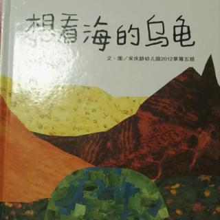 想看海的乌龟