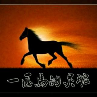 《一匹马的灵魂》作者:朱成玉