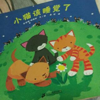 馨宝贝妈妈讲故事:小猫该睡觉了