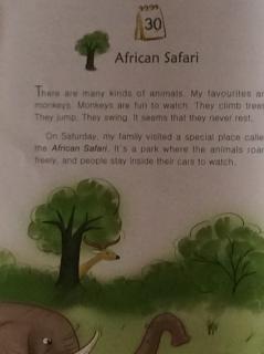 5-30 🌳African Safari