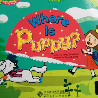 《Where  Is  Puppy》