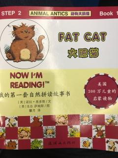 fat cat 20180729