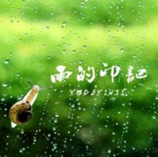 听雨   季羡林