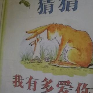 【猜猜我有多爱你】绘本