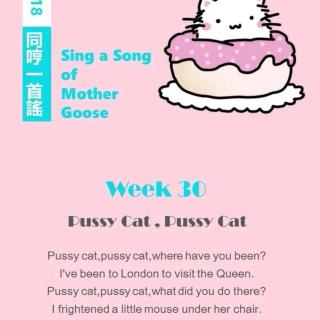 Week30 Pussy Cat,Pussy Cat