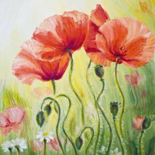 转化限制性信念冥想引导