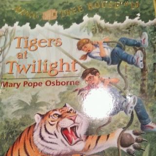 MTH-Tigers at Twilight(1-3)
