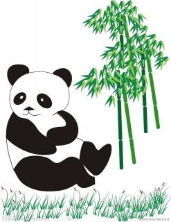 闫睿宸-大熊猫只吃竹子吗